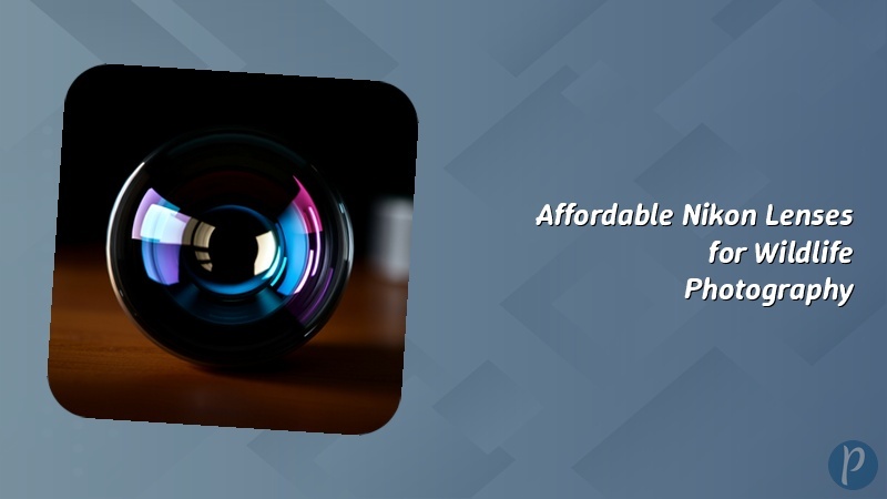 Affordable Nikon Lenses for Wildlife Photography