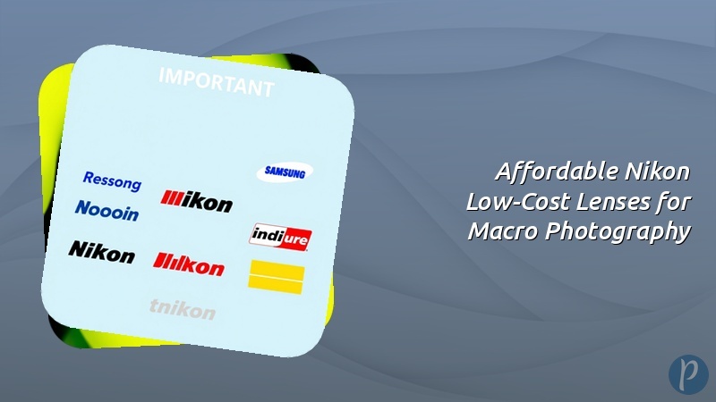 Affordable Nikon Low-Cost Lenses for Macro Photography