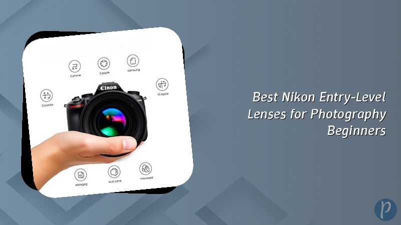 Best Nikon Entry-Level Lenses for Photography Beginners