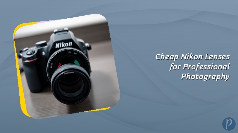 Cheap Nikon Lenses for Professional Photography