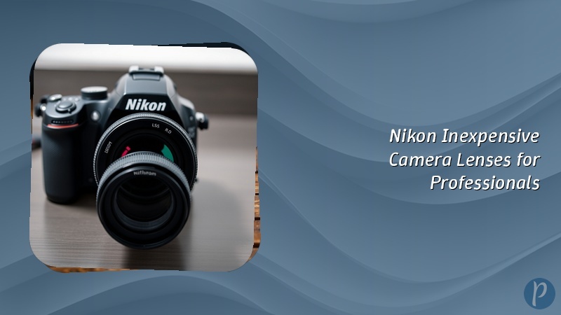 Nikon Inexpensive Camera Lenses for Professionals