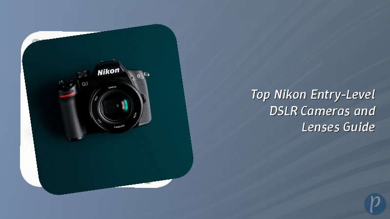 Top Nikon Entry-Level DSLR Cameras and Lenses Guide